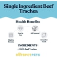 thumbnail image 6 of Hotspot Pets Premium Beef Trachea for Dogs 6" Strips Split (10 Pack) - All Natural Grass-Fed Beef Dog Chews, 6 of 9