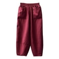 thumbnail image 4 of SNKSDGM Women's Plus Cotton Panties for Women High Waist Sweatpants Women Set Full Zip Women's 2025 Solid Color Spring and Summer Retro Straight Pocket Loose Casual and Linen Pants, 4 of 4