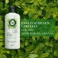 thumbnail image 2 of Acondicionador Herbal Essences Detox Té Verde & Menta 400 ml, 2 of 5