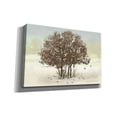 thumbnail image 2 of Epic Graffiti 'Juncos and Oak' by Chris Vest, Canvas Wall Art, 40"x26", 2 of 3