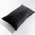 thumbnail image 5 of ShengRui 2 Pack Zippered Velvet Queen Pillowcases, Super Soft and Cozy Luxury Fuzzy Flannel Pillow Cases with Zipper, 20x30 Inches, Navy Blue, 5 of 6
