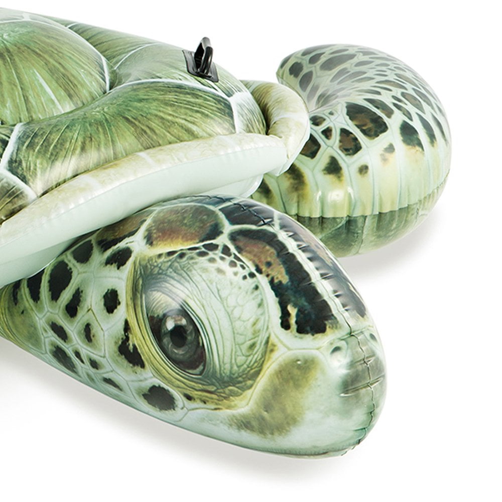 intex turtle