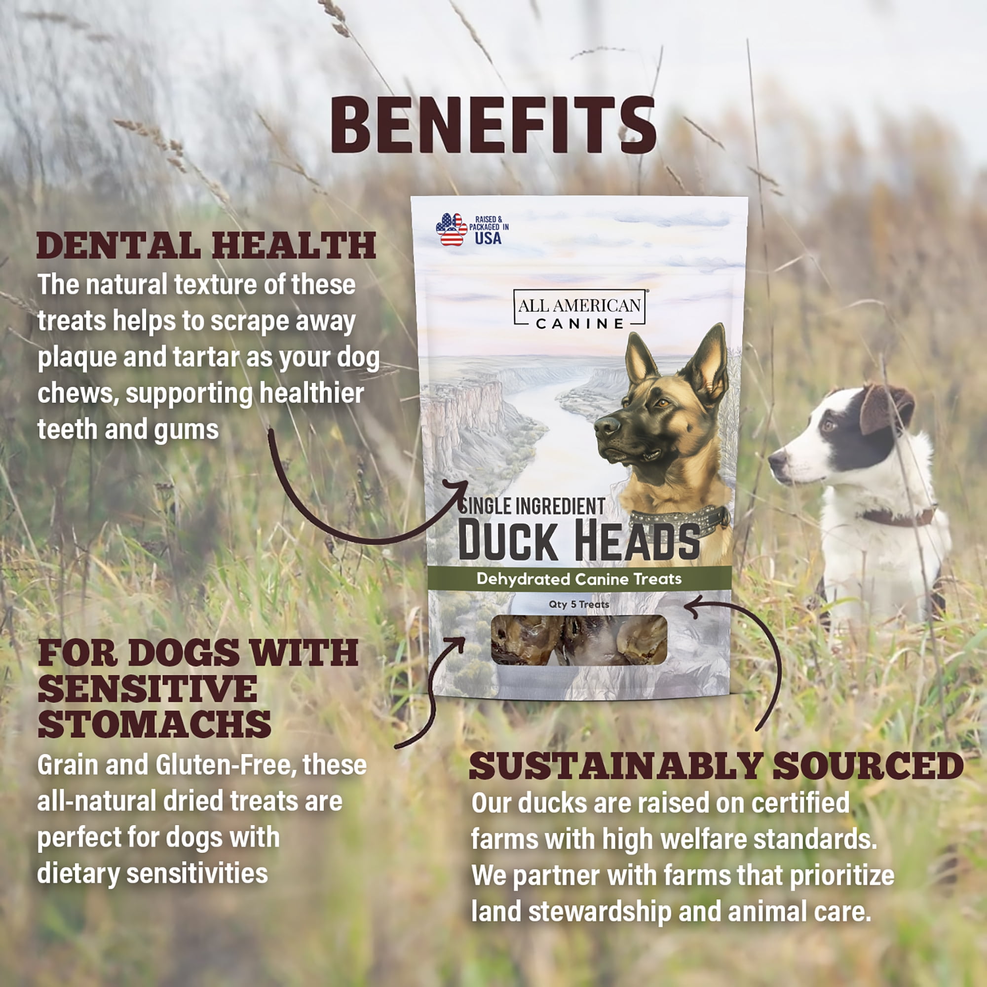 All American Canine Duck Heads, 5 count