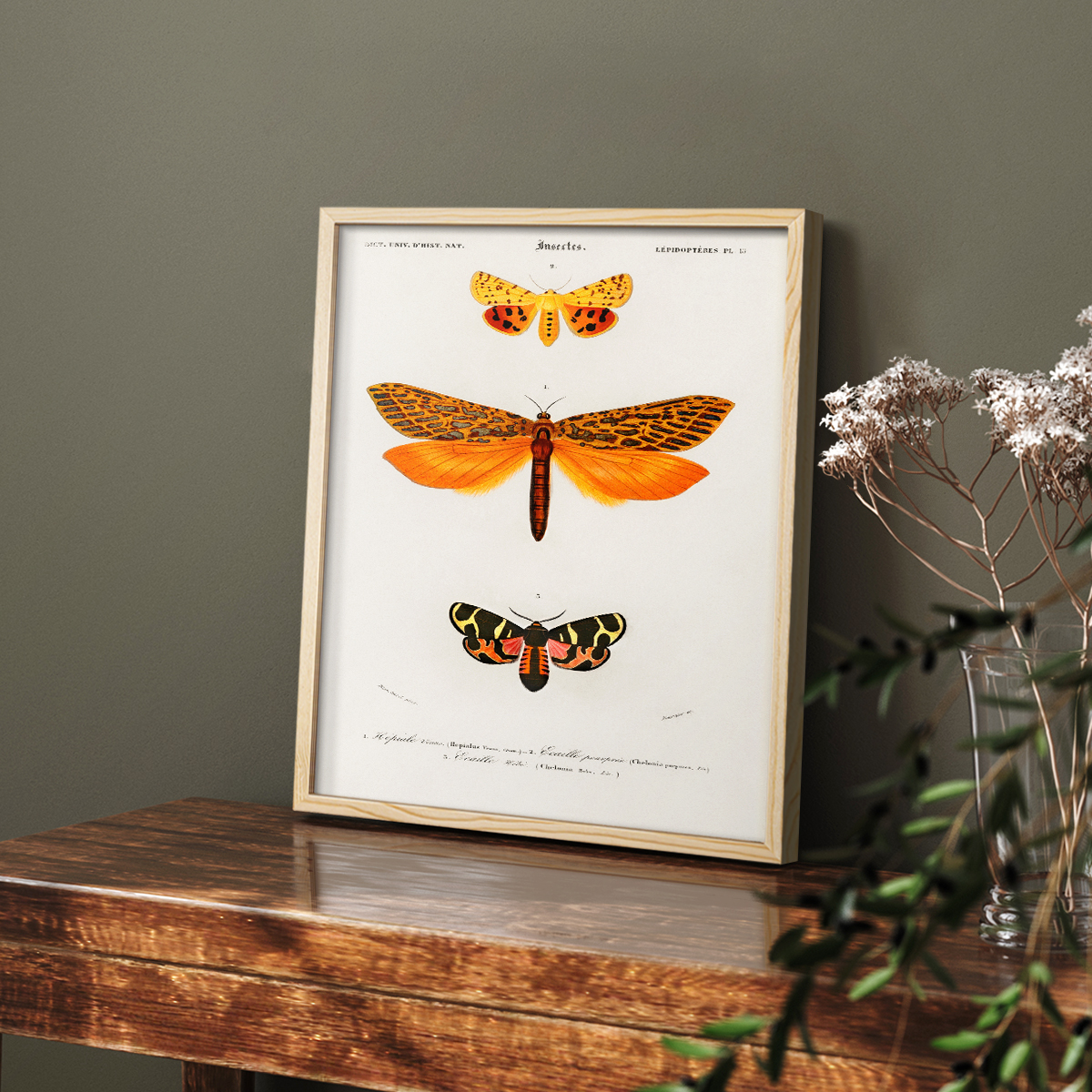 Vintage Animal Print XXIV - 14in. x 11in. Vintage Framed Print in Natural Wood Frame