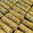 thumbnail image 5 of Cedar Sage Bulk Wholesale Smudge Sticks Cedar Sage Bulk, California Cedar Sage Bundle At Wholesale, 5 of 5