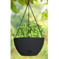 thumbnail image 3 of Misco 12IN Hanging Self Watering Planter BLACK, 3 of 5