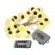 thumbnail image 4 of Luces de Halloween Fernando 20 LED Accesorios Decorativos de Iluminación con Control Remoto, 4 of 8