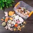 thumbnail image 5 of STAGA Beach Seashells Decoration Starfish Sea Snail Coral Ornament for Wedding Party, 5 of 19