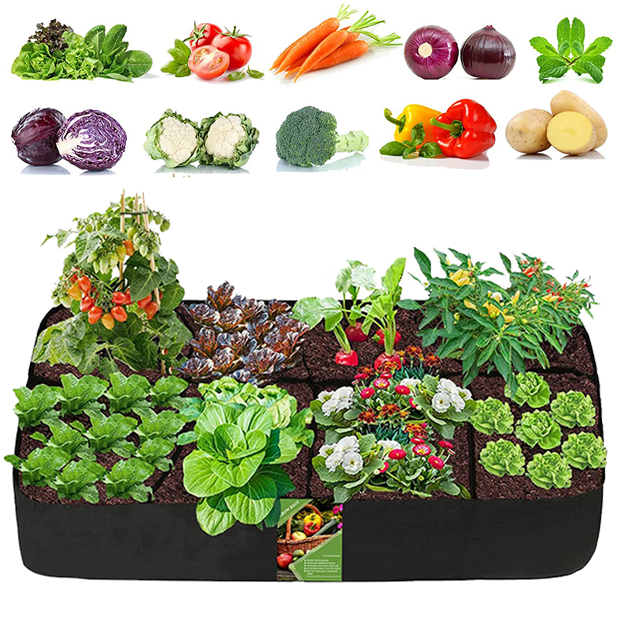 Optimal Grow Bag Sizes for Vegetables, Herbs, and Fruits - Organicbazar Blog