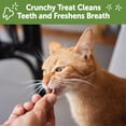 thumbnail image 4 of Wellness WHIMZEES Cat Dental Treats, Freshens Breath, Chicken and Tuna Flavor, 4.5 oz Bag, 4 of 7