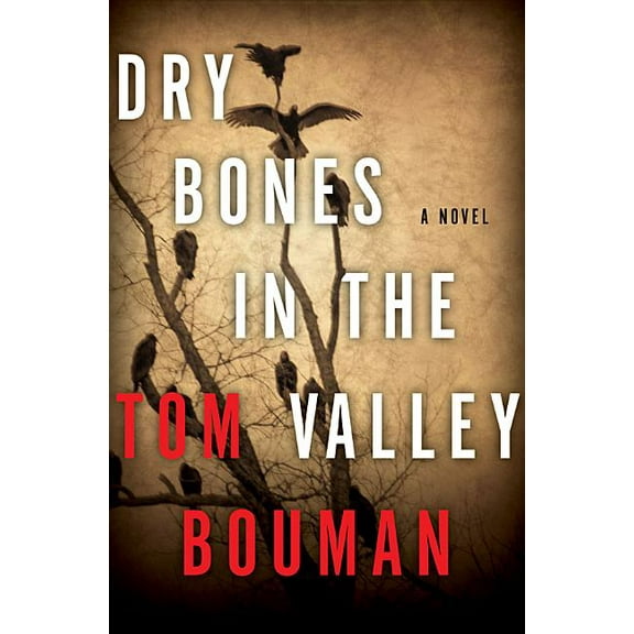 Henry Farrell Dry Bones in the Valley, Book 1, (Hardcover)