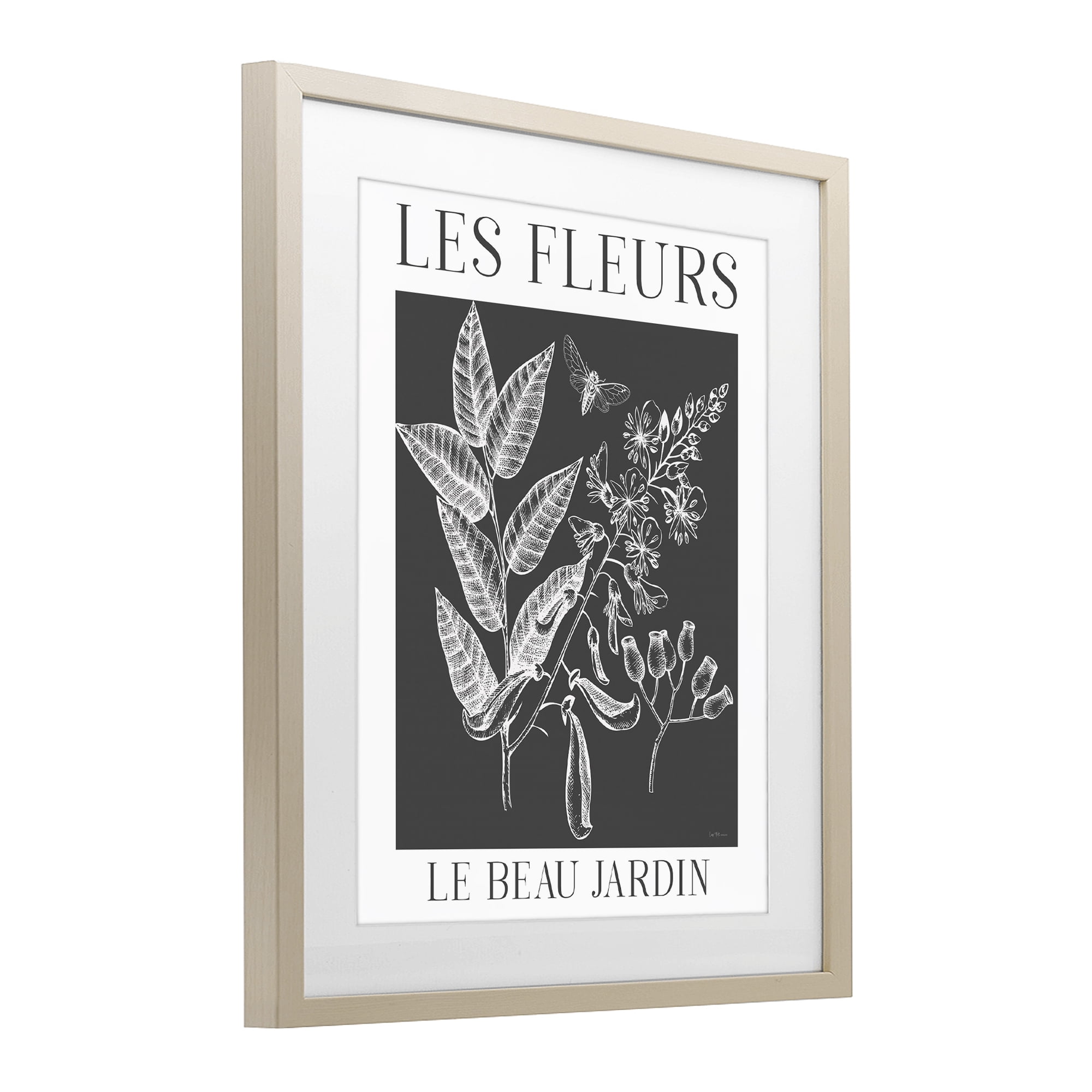 Stupell Industries Les Fleurs Black & White Contour Birch Framed Print Under Glass, design by Lux + Me Designs