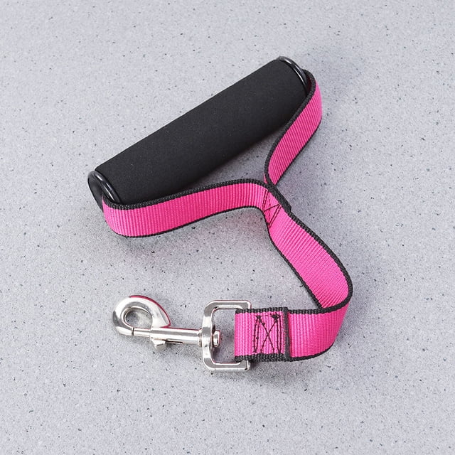 RUNROTOO Elastic Dog Leash For Training Large Rose Red For Large Dogs Durable Hook For Heel Position Control Vet Visits