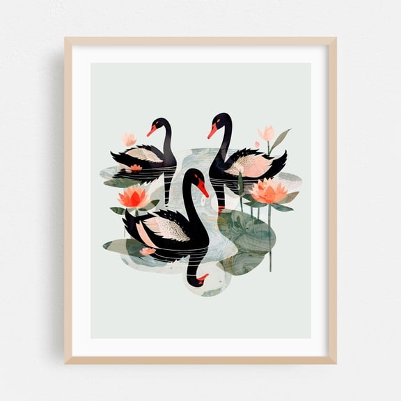 Black Swans - India Illustration Floral Nature Wildlife Botanical Whimsical Oak Framed Wall Art Print 8 x 10 inches