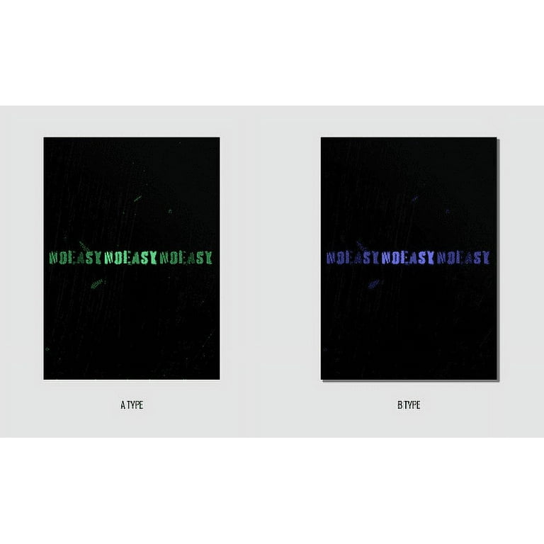 Stray Kids NOEASY CD ステッカー付 Stray Kids NOEASY 2nd Album Jewel Case I.N Cover CD+20p