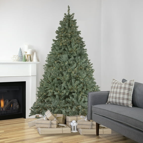 Northlight 7.5' Pre-Lit Full  Spruce Artificial Christmas Tree, LED Lights