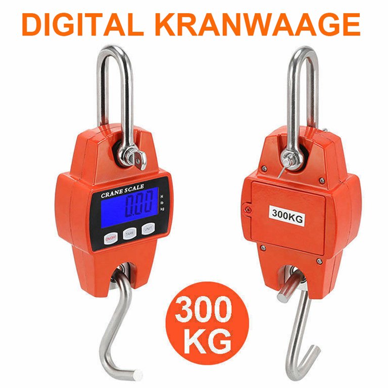 Portable Electronic Digital Crane Scale Weight 300 kg Stainless