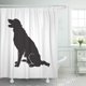 thumbnail image 1 of ABPHQTO Vector activo Border Collie Perro Siluetas Adorable Solo Atento Cortina de ducha 150x180 cm, 1 of 1