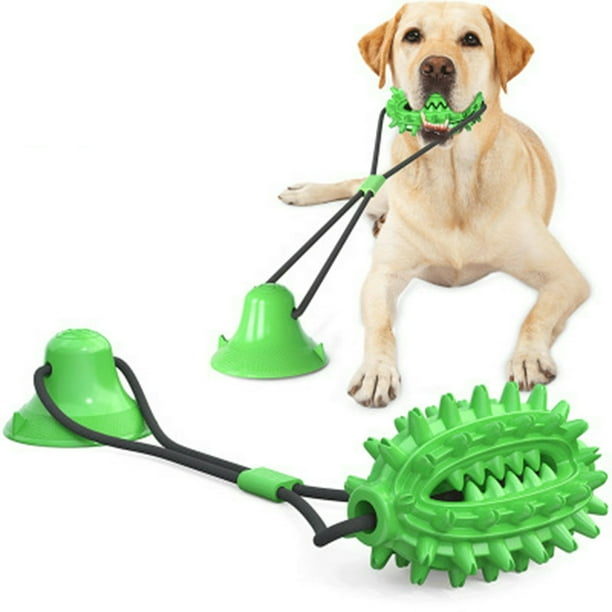 Juguete para perros, limpieza de dientes, cuerda ovalada grande, The Small Moment, salud bucal