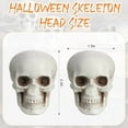 thumbnail image 2 of 10Pcs Halloween Mini Skeleton Head Terrifying Table Decor Skull Heads Scary Props Halloween Decor Props Skulls Decoration, 2 of 6