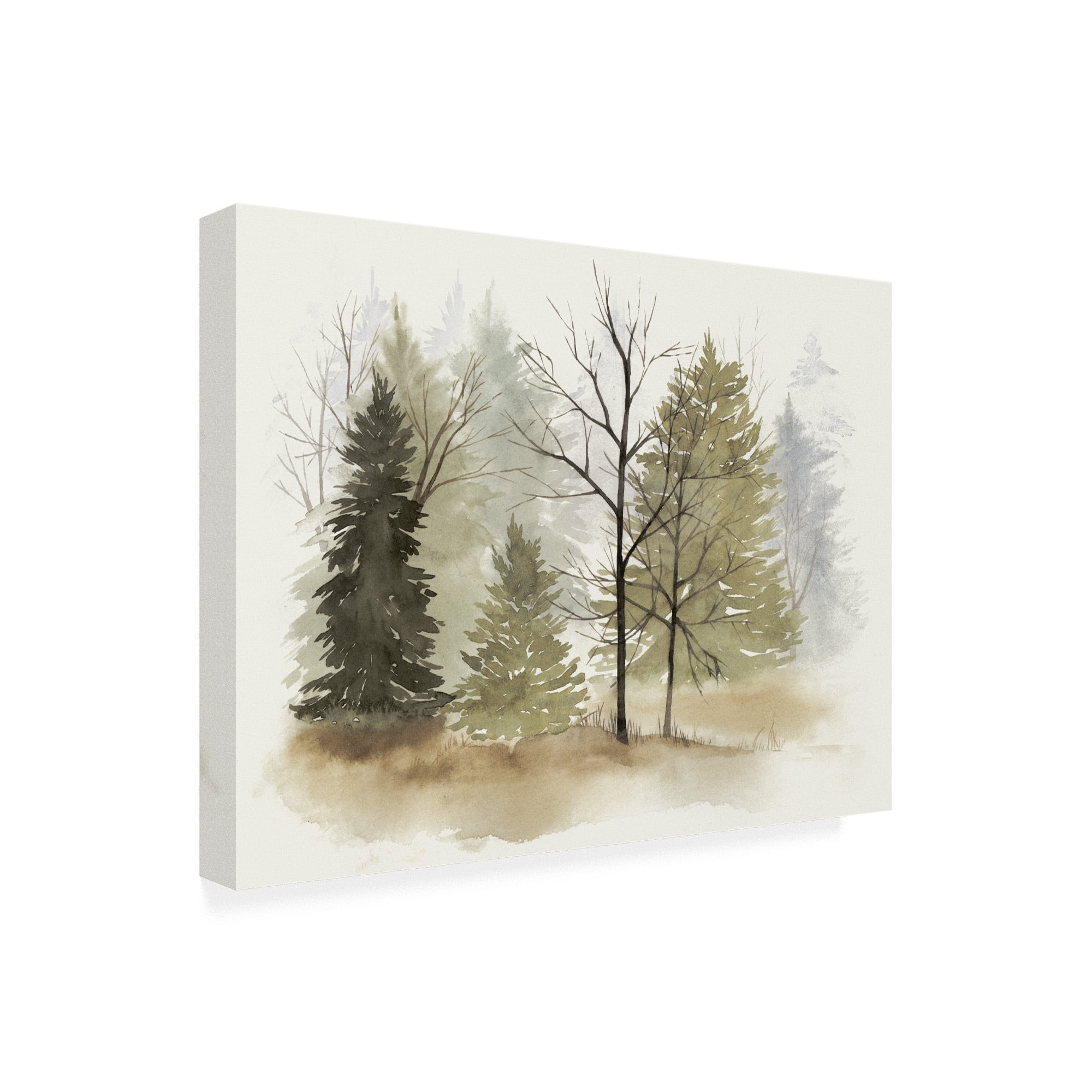 Trademark Fine Art 'In The Mist I' Canvas Art by Grace Popp