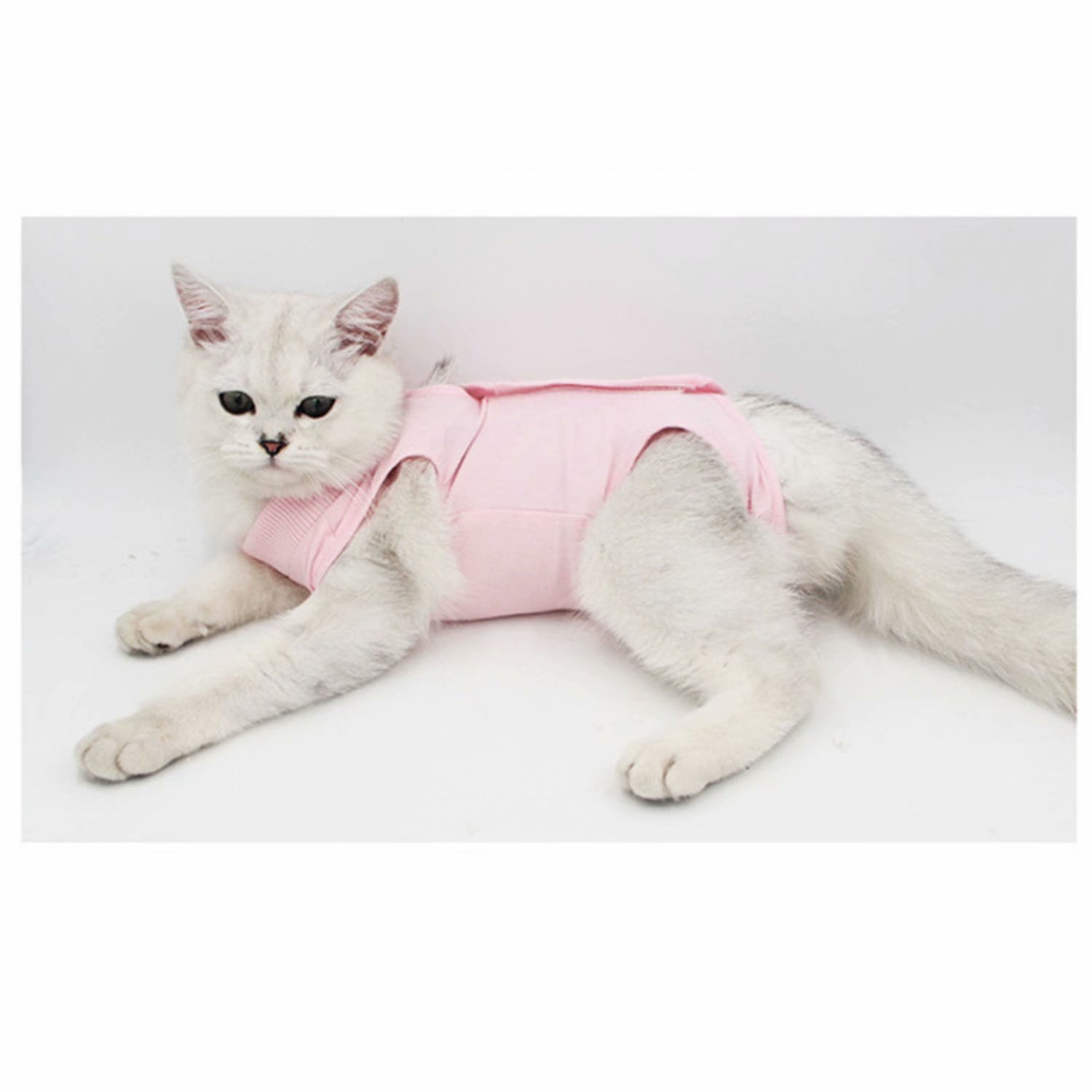 Antilicking medical suit for cats suitable for abdominal wounds or