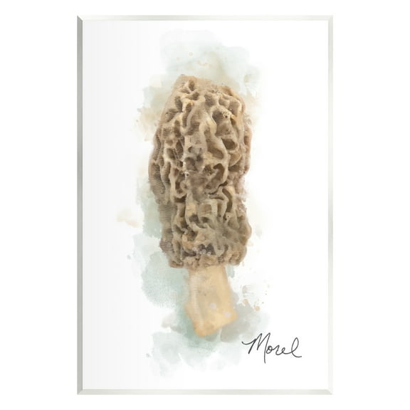 Stupell Industries Abstract Morel Mushroom Botanical & Floral Painting Unframed Art Print Wall Art, 10 x 15