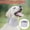 2pcs-XS, variant on ruhuadgb 2Pcs XS Pet Scarf Collar, Adjustable Fasten Tape Breathable Comfortable Neck Wear Anti-licking EVA Dog Post Surgery Wound Healing Protective Collar Pet Supplies-Grey