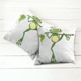 thumbnail image 2 of Ambesonne Animal Throw Pillow Cover 2 Pack, Frog on Branch Jungle, 20", Green White Yellow, 2 of 6