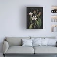 thumbnail image 3 of Sue Schlabach 'Vintage White Flora III' Canvas Art, 3 of 3