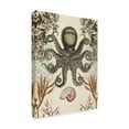thumbnail image 2 of Trademark Fine Art 'Antiquarian Menagerie Octopus' Canvas Art by Naomi McCavitt, 2 of 4