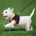 thumbnail image 4 of BKER 1 PCS Dog Harness For Small Medium Large Dogs No Pull Puppy Harness And Leash Set Dog Harness For Walking Running Training Small Dog Harness Medium Dog Harness, 4 of 5
