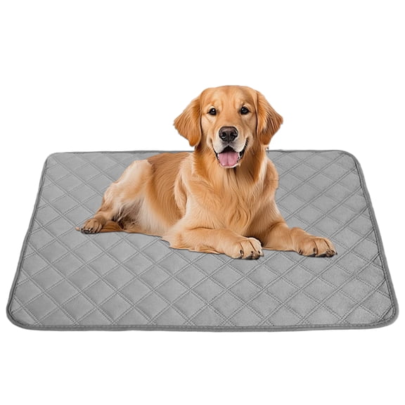 CANTAPVA Washable Reusable Pet Pee Pad, Waterproof Short Plush Dog Bed Mat, Non-Slip Training Pad for Dogs Cats, Gray Absorbent Whelping Pad for Crate and Floor