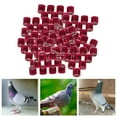 thumbnail image 4 of kurtrusly 100Pcs 2022 Aluminium Colombe Pigeon de Course Pied Anneaux 8mm Rose, 4 of 8