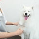 thumbnail image 4 of pstuiky Cepillo para quitar el pelo de mascotas cepillo para gatos cepillo de doble cara para el hogar limpiador de pelo de gatos removedor de pelo de alfombras raspador de pelo, 4 of 6