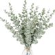 thumbnail image 1 of Tallo de eucalipto de simulación de 20 piezas, utilizado para ramo de bodas, oficina y decoración del hogar., 1 of 5