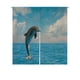 thumbnail image 1 of Cortina Noren ABPHQTO Delfines Saltando Paisaje Marino 85x90 cm, 1 of 1