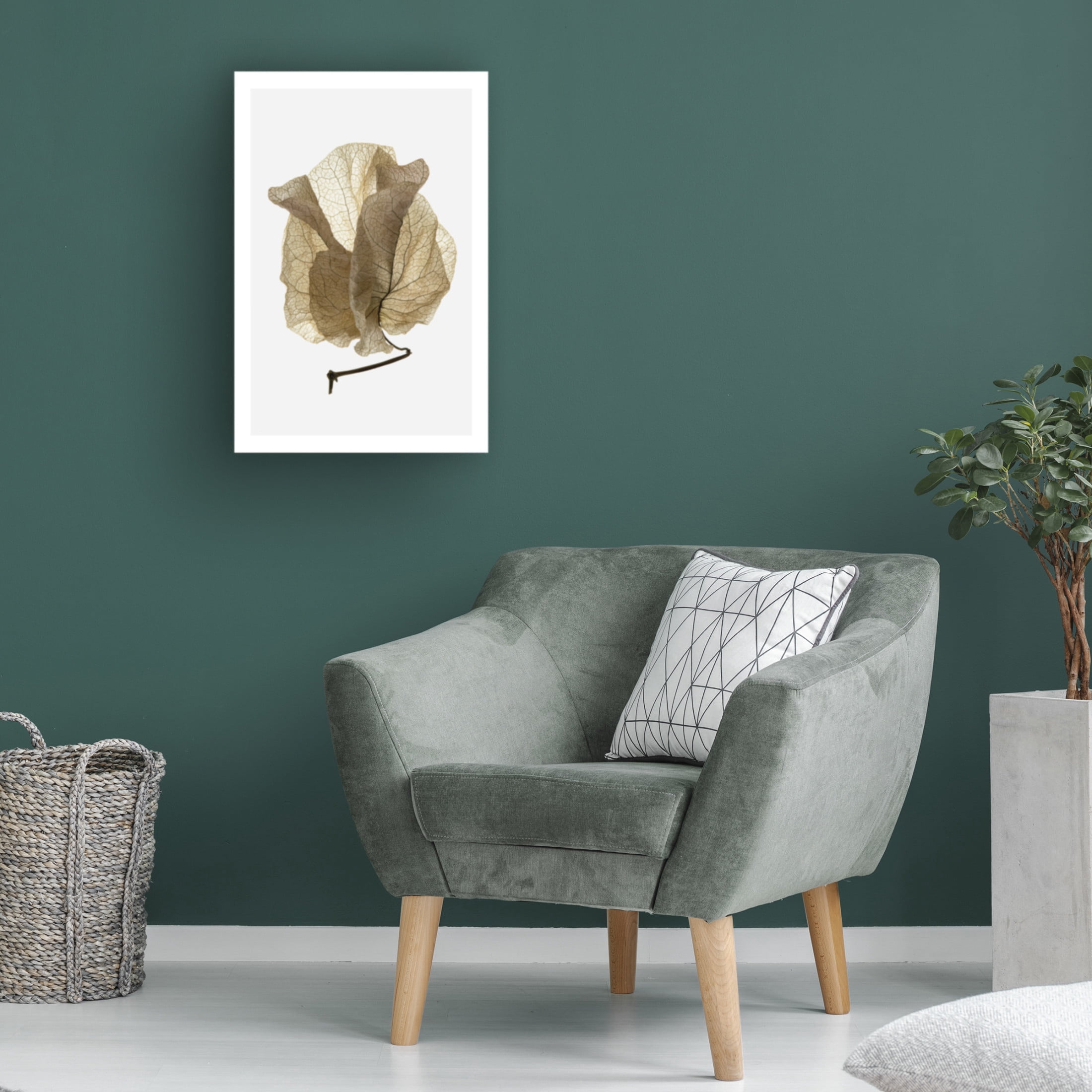 Trademark Fine Art Shot by Clint Bougainvillea Study No5 Canvas Wall Art
