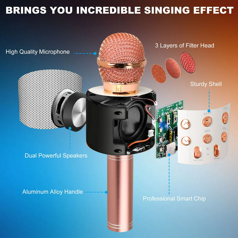 Wireless 4 in 1 Bluetooth Karaoke Microphone, Handheld Portable Karaoke  Machine Speaker, Home KTV Player with Record Function, Compatible with  Android & iOS Devices 