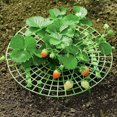 thumbnail image 2 of Matsuzay Soporte de planta de fresa, herramientas de vid de fruta, estante de escalada, soporte de marco de cultivo, protección de suelo, Jardín y Patio Verde 5 piezas, 2 of 6
