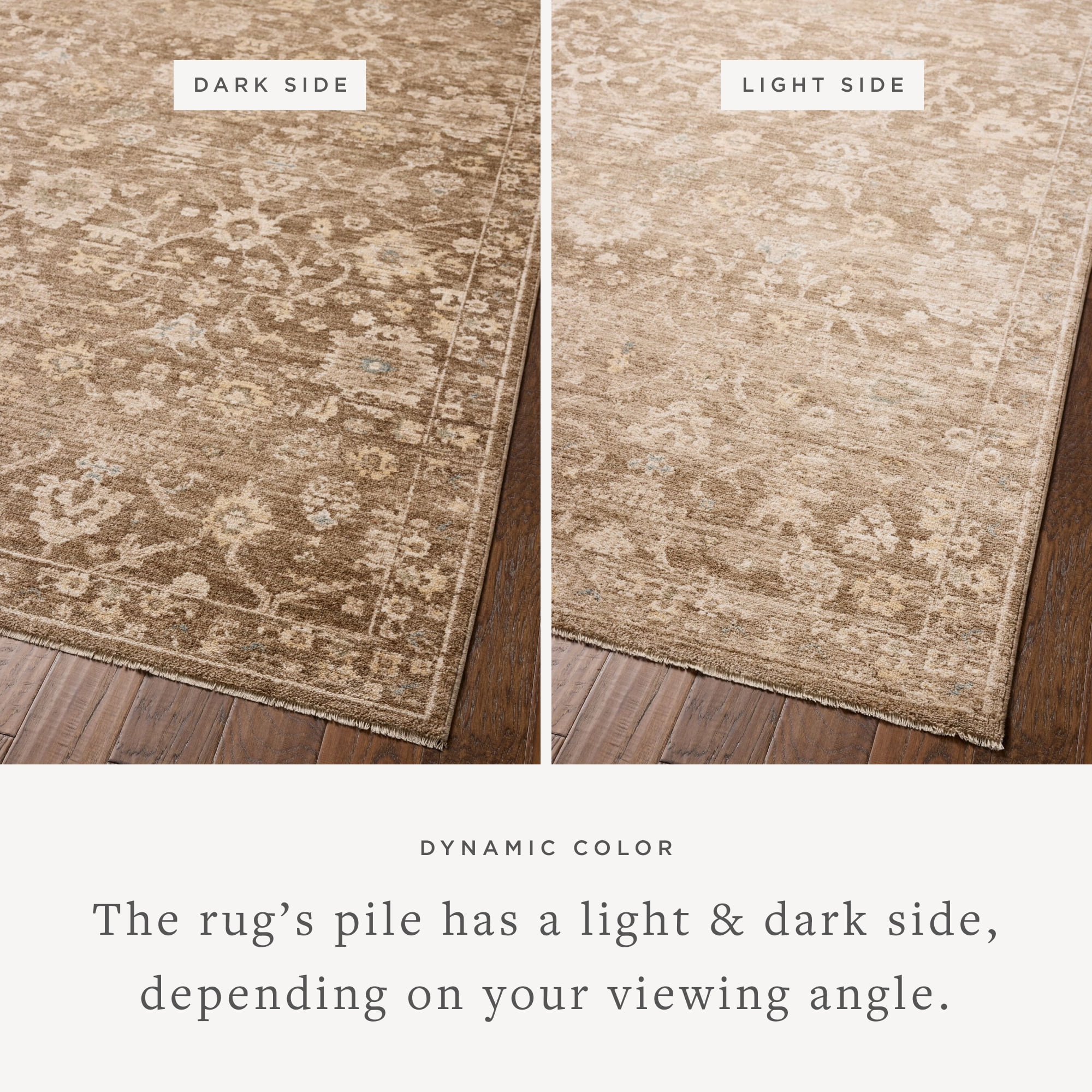 Chris Loves Julia x Loloi Palma Brown / Earth 2'-7" x 10'-0" Runner Rug