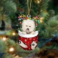 thumbnail image 4 of Pet Dog Christmas Tree Ornament Christmas Spirits Dog Acrylic Decoration Home Door Festival Ornament, 4 of 9
