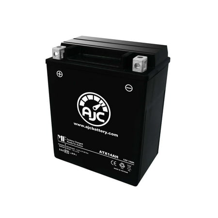 Polaris Alternative Options Octane Motorcycle Replacement Battery (2016-2017) This is an AJC Brand