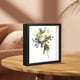 thumbnail image 1 of Marco de caja de sombra Decoración de mesa Decoración de pared de madera Marco de flores secas Soporte de exhibición de flores secas Marco de caja de Negro Macarena marco de la foto, 1 of 8
