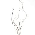 thumbnail image 5 of Brown Natural Decorative Dry Branches Authentic Willow Birch Sticks for Home Decoration, Wedding Craft, and Floor Vase, 5 of 8