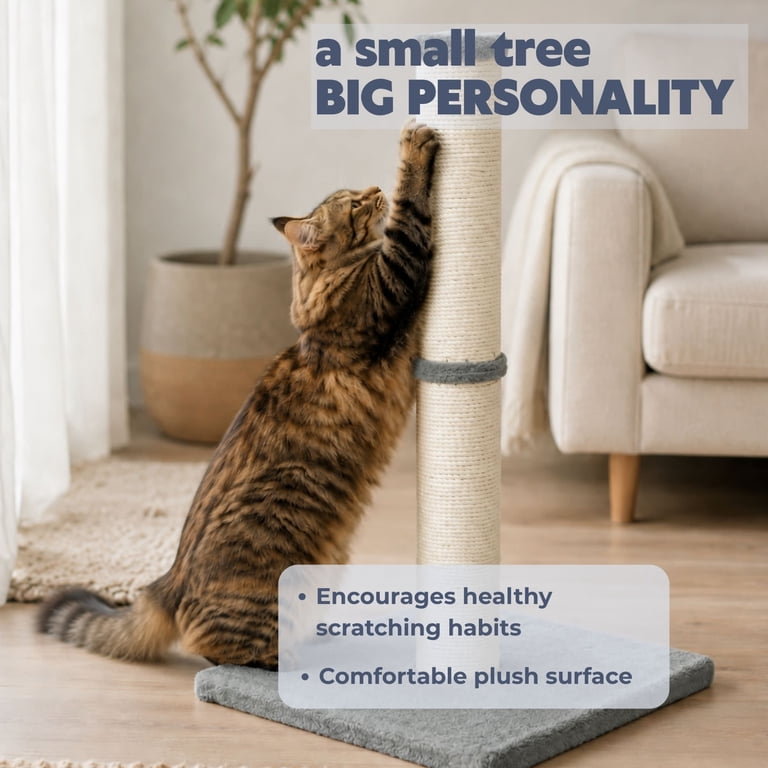 Trixie Parla 24.4 Inch Cat Scratching Post, Gray Plush photo 3