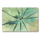 thumbnail image 2 of Cuadro Decorativo Abstracto 20x30cm Flor Jade, 2 of 6