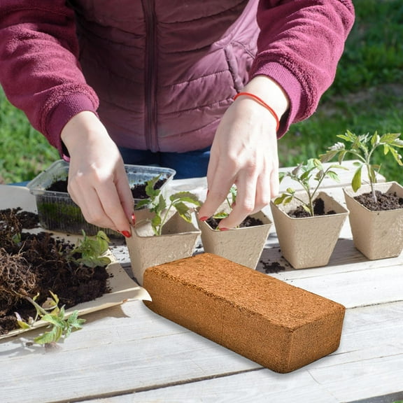 Brick Nutrient Bran To Flowers And Vegetables Substrate Brick No Insect Eggs Low-Salt Succulent Fertilizer White