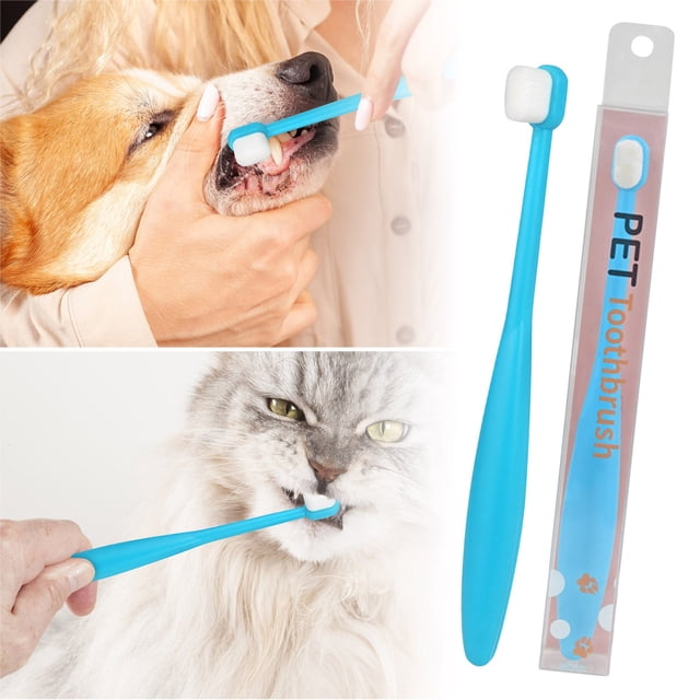 Toothbrush For And Cats Soft Care For Gentle Teeth Cleaning And Oral Hygiene