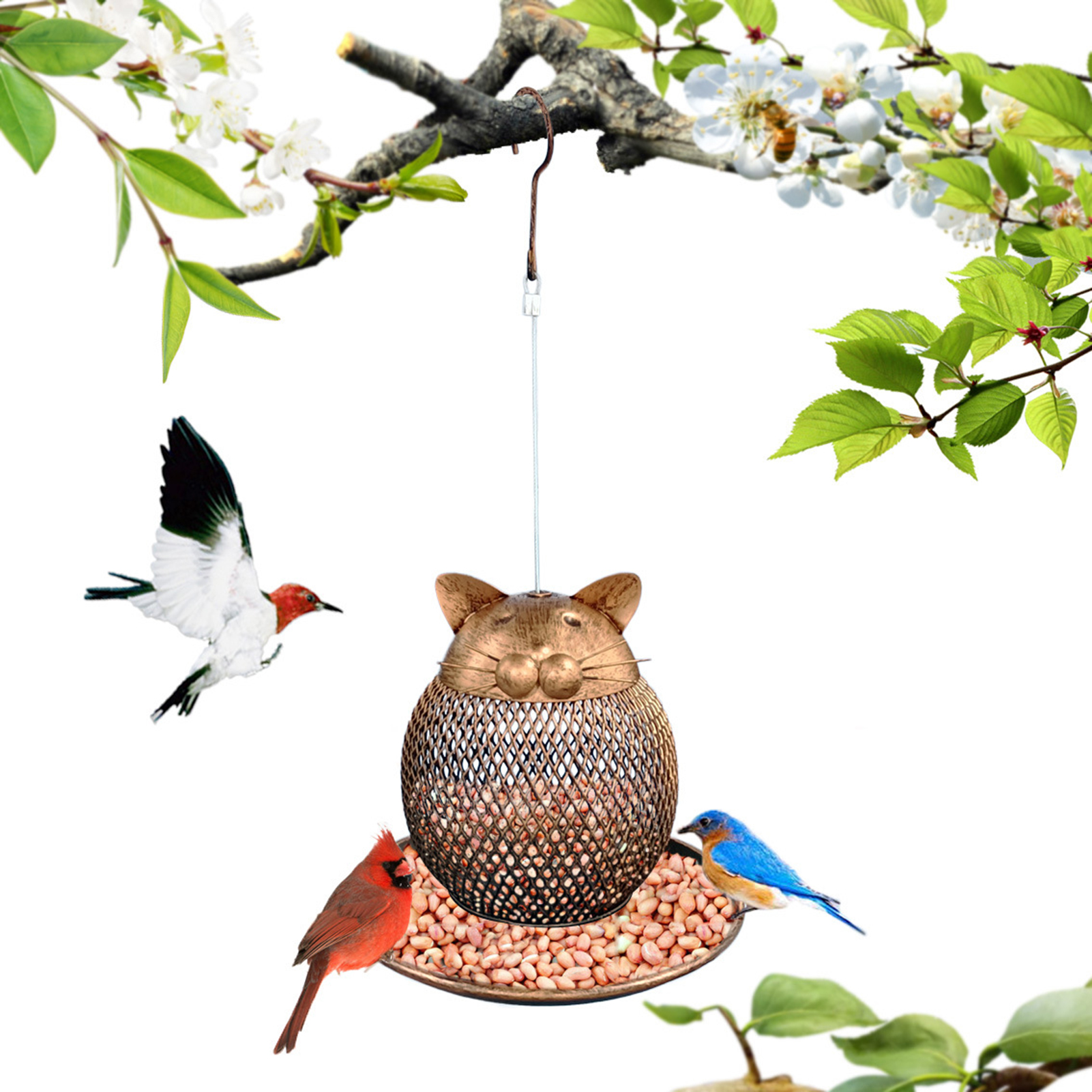 bird proof cat feeder